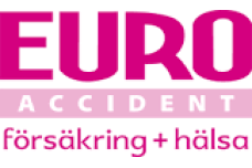 Euro Accident