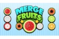 Fruit Merge Logo