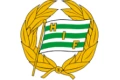 HammarbyIF