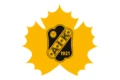 SkellefteåAIK